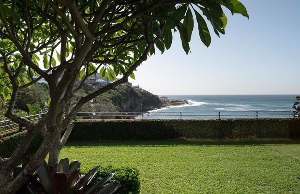 A landscaped coastal property grounds viewed through a mature broad-canopied tree, with a manicured lawn, clipped hedge, railing, rocky shoreline and ocean beyond. Residential buildings are faintly visible on the distant headland. The scene is bright and natural, with a relaxed seaside setting.
