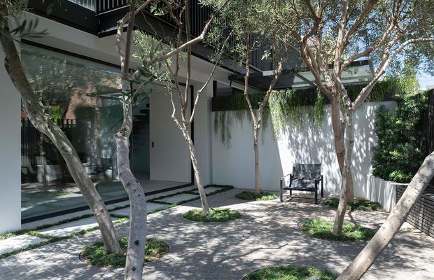 A contemporary courtyard exterior with white rendered walls, dark upper-level cladding and glazing, slender mature trees planted through a paved ground plane, and a small outdoor bench. The courtyard is shaded by the trees and bordered by lush planting and a high privacy wall.