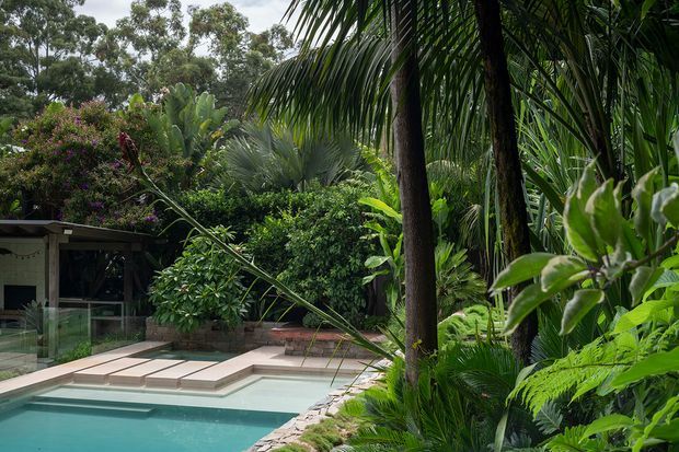 A lush tropical garden surrounding a modern residential pool. The turquoise swimming pool is bordered by pale rectangular paving and a natural stone edge, with dense palms, ferns, broad-leaved plants and flowering vegetation screening a glass-fronted pavilion or living area.