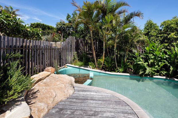A tropical landscaped pool area with a curved turquoise swimming pool, natural rock edging, a weathered timber deck, and a rustic vertical timber privacy fence surrounded by lush palms and dense planting.