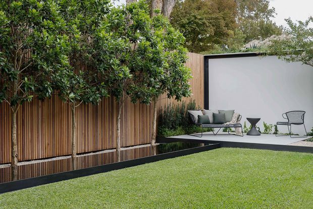 A landscaped contemporary courtyard with a manicured lawn, mature trees, and a tall vertical timber-slatted privacy fence. A raised paved platform forms an outdoor lounge area with modern seating, a small side table, and a large plain light-coloured wall or screen behind it.