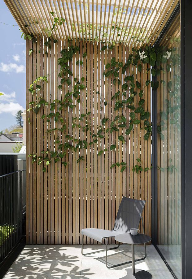 A compact outdoor terrace or balcony with a light timber privacy screen and overhead pergola, both formed from evenly spaced vertical and horizontal slats. Climbing greenery softens the screen, while a glass wall or sliding door borders the right side. A minimalist lounge chair and small round side table sit on a pale concrete floor, with strong sunlight casting patterned shadows. The space feels private, airy, and contemporary.