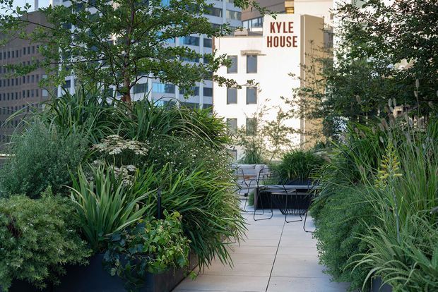 A landscaped urban rooftop or terrace garden with dense ornamental grasses, spiky architectural plants, shrubs, and small trees surrounding a paved pedestrian path and a simple outdoor dining seating area. Mid-rise commercial buildings are visible beyond the planting, including a building marked “KYLE HOUSE.”