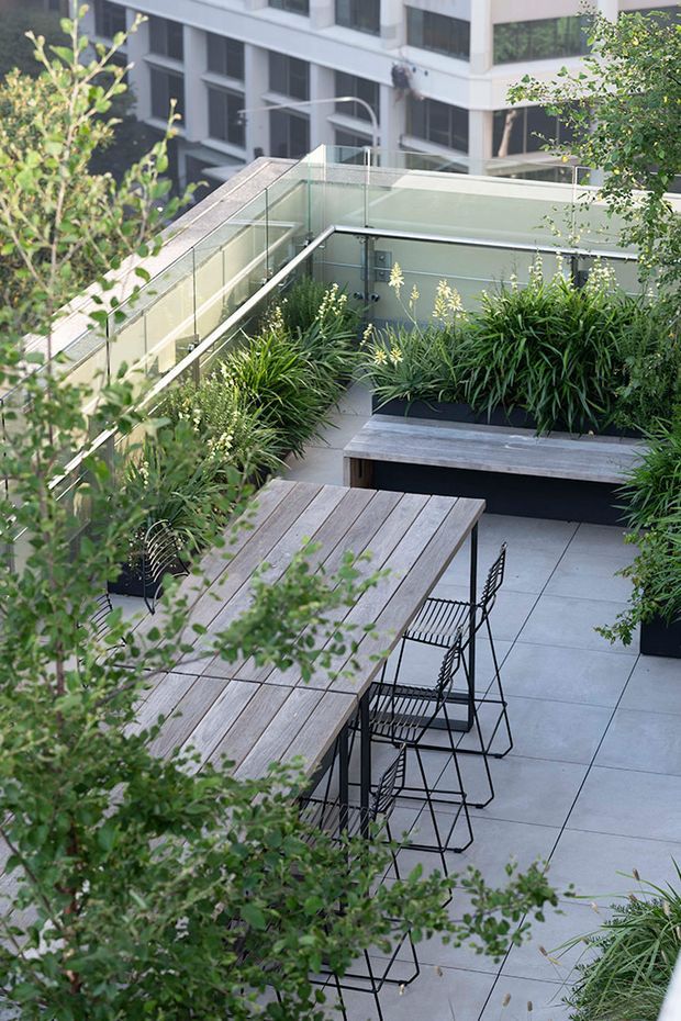 A landscaped rooftop terrace or elevated outdoor dining area overlooking a modern multi-storey building. The space features a long weathered timber dining table with black wire-frame chairs, built-in timber bench seating, large pale grey paving slabs, dense ornamental planting in raised beds, and clear glass balustrades. The setting has a contemporary urban character with layered greenery and views toward adjacent apartment or commercial buildings.