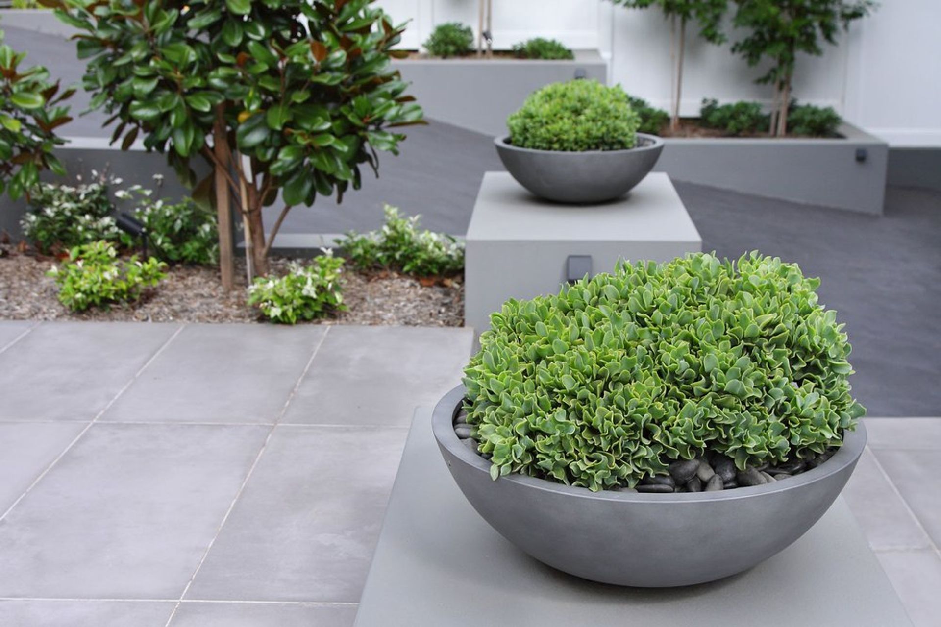 St Ives: NSW - Residential