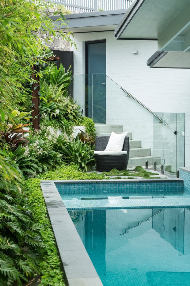 A lush, compact courtyard pool area beside a modern white-painted brick house. The turquoise tiled swimming pool is bordered by pale concrete coping and dense tropical planting, with glass balustrades, concrete steps, a dark-framed door, and a woven outdoor chair. A cantilevered roof or balcony structure projects overhead.