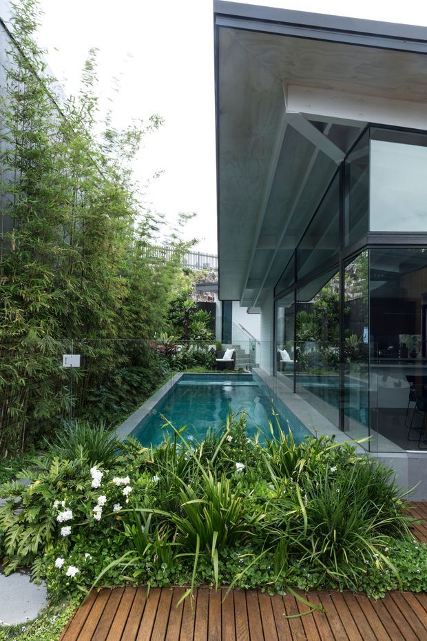 A contemporary glass-walled house viewed from a lush landscaped garden, with a narrow rectangular swimming pool running alongside the building. The pool is bordered by pale paving and reflective glazing, while a timber deck and dense tropical planting occupy the foreground. The building features a strong cantilevered roof or overhang, dark window frames, and exposed structural elements.
