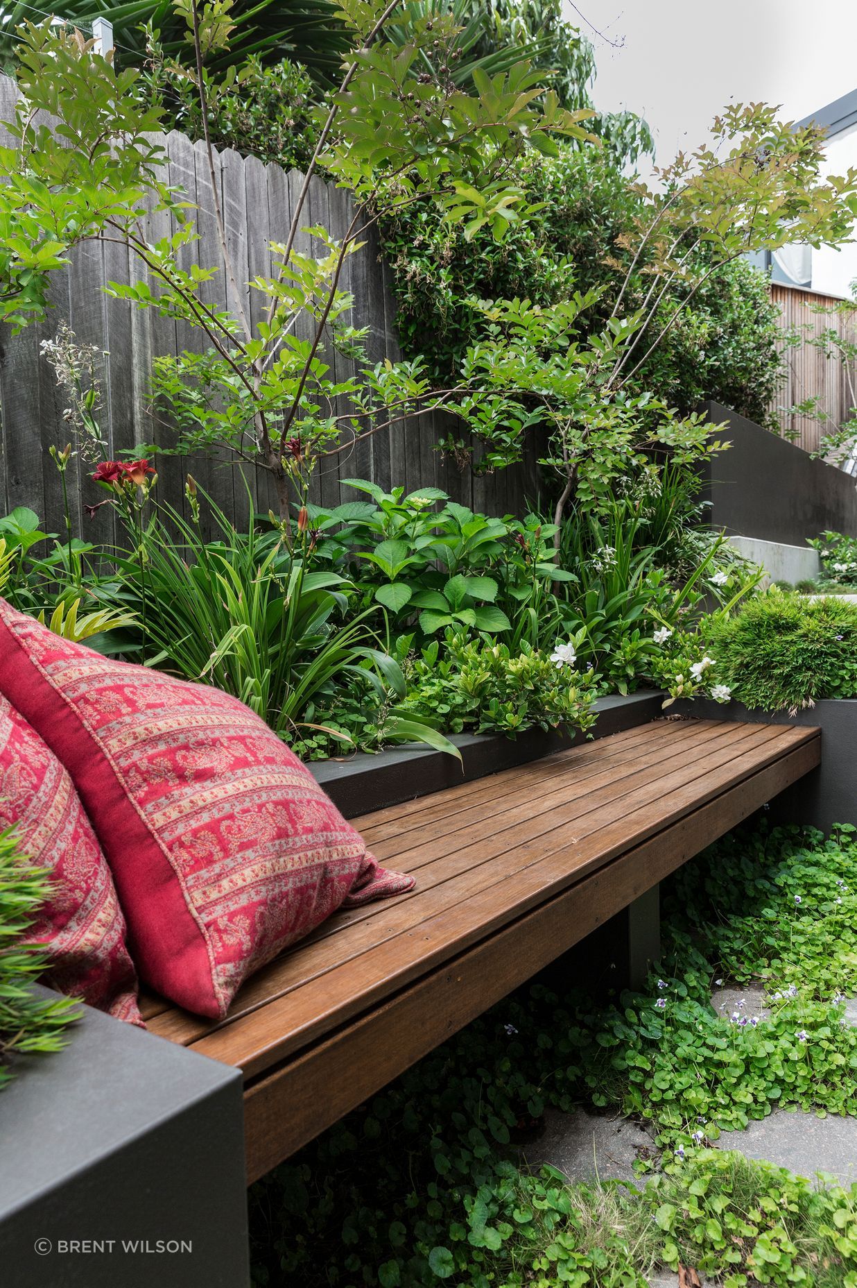 St Thomas St. by Landsberg Garden Design ArchiPro AU