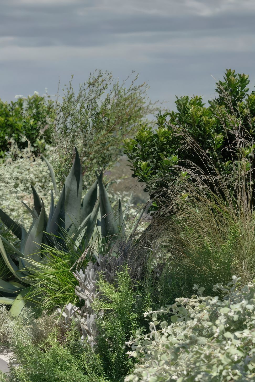 ScaledGarden-LifeDesignRooftop-Retreat8-818x1020-standard-scale-200x.jpeg