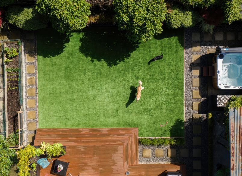 Goodbye to Paw Prints & Mud