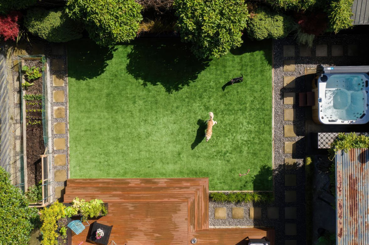 Goodbye to Paw Prints & Mud