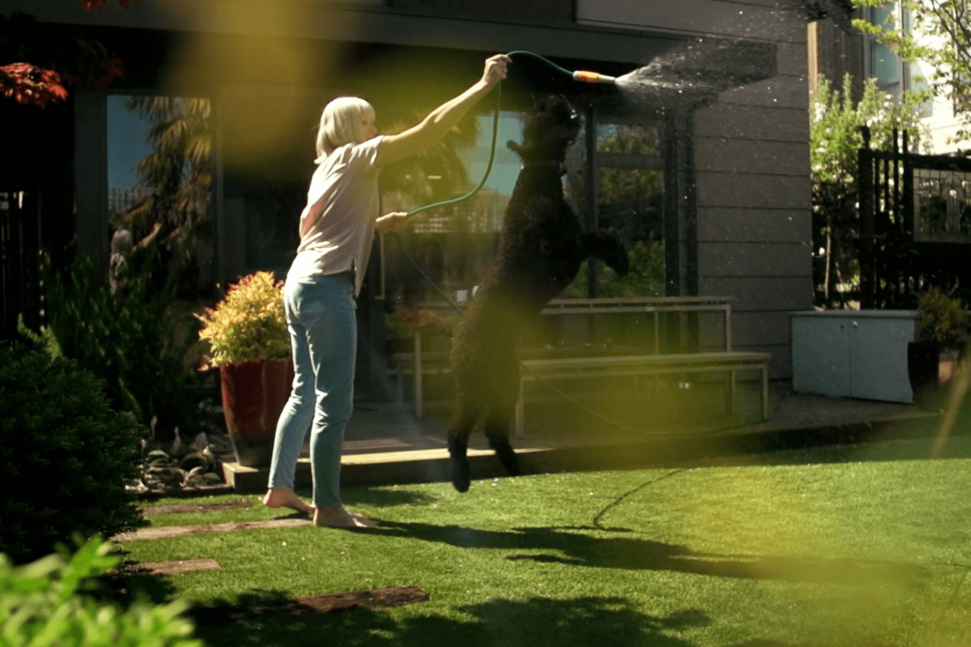 Urban Upgrade in Merivale