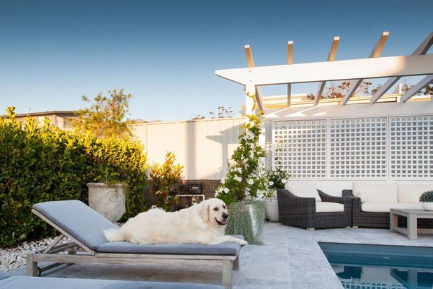 A bright landscaped poolside courtyard with a white pergola and exposed timber rafters, decorative breeze-block screening, tiled paving, outdoor wicker seating, and a sun lounger occupied by a dog. Dense planting borders the space, with a swimming pool visible at right.