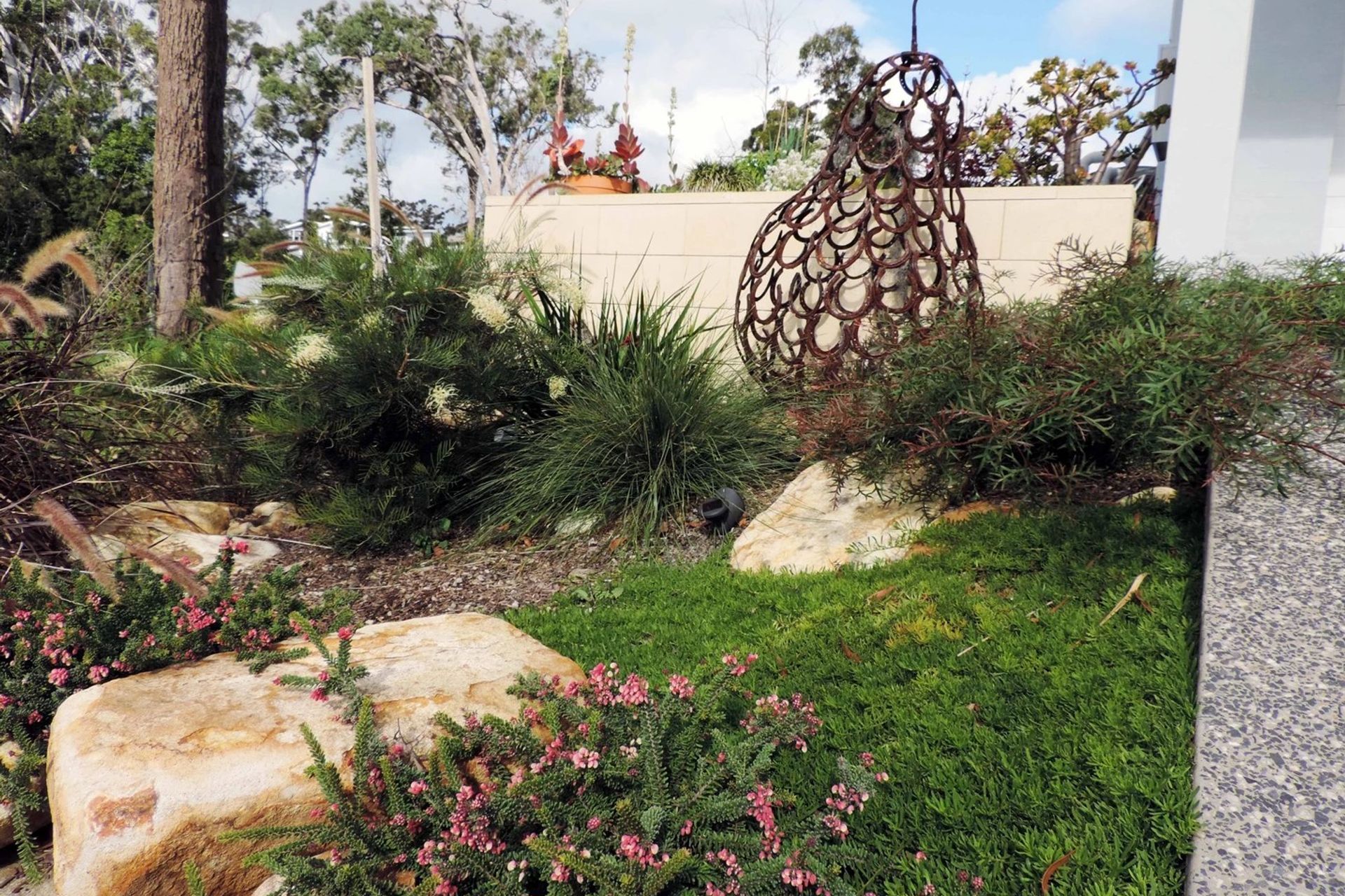 Contemporary Native Garden