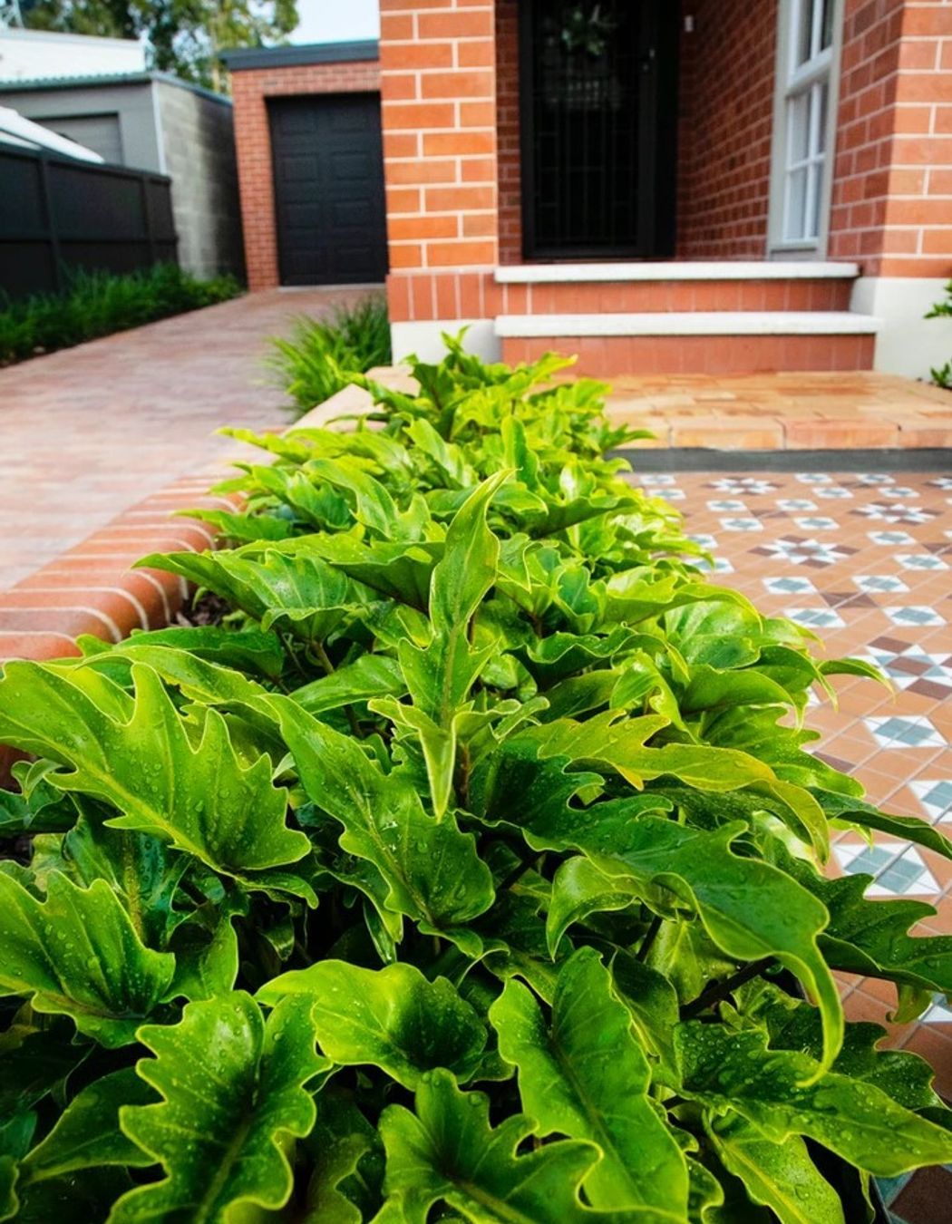 Heritage Bungalow Delight