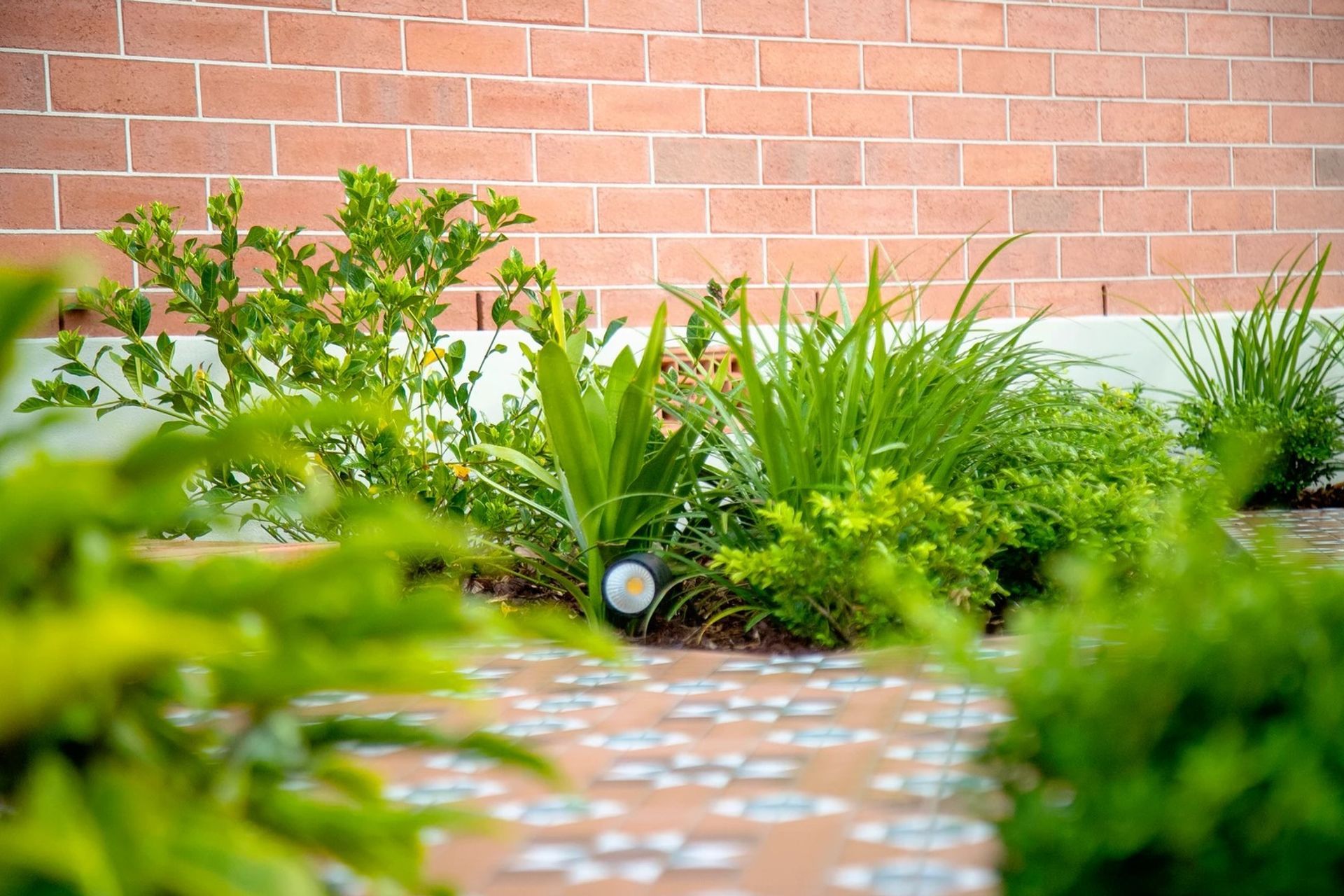 Heritage Bungalow Delight