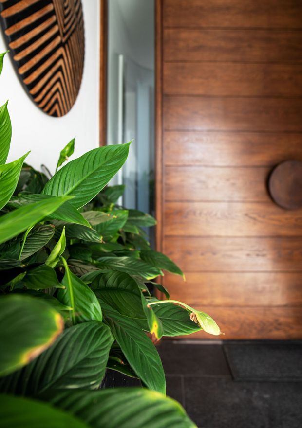 Close-up interior view of a warm timber-paneled entry door beside lush tropical green foliage. A decorative dark woven wall feature is partially visible on the white wall, with a reflective glass panel and dark tiled flooring contributing to the entry setting.