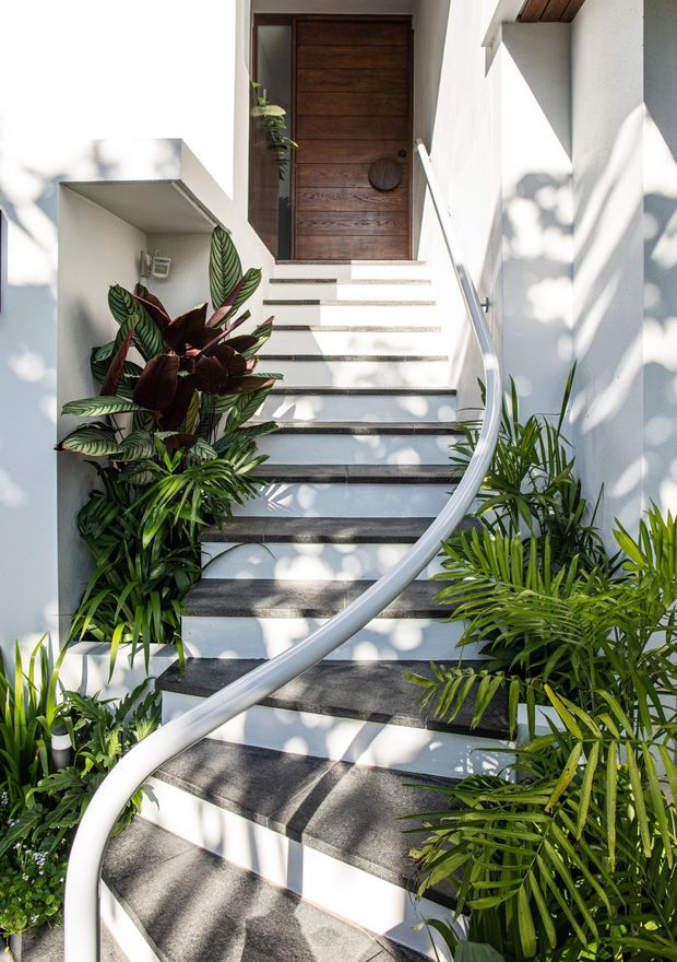 A bright, tropical-style residential entry stairway rises between white rendered walls to a large dark timber front door. The staircase has pale stone or concrete treads with dark contrasting nosings, a sweeping curved white handrail, and abundant lush greenery along both sides. Dappled sunlight creates leaf shadows across the steps and walls.