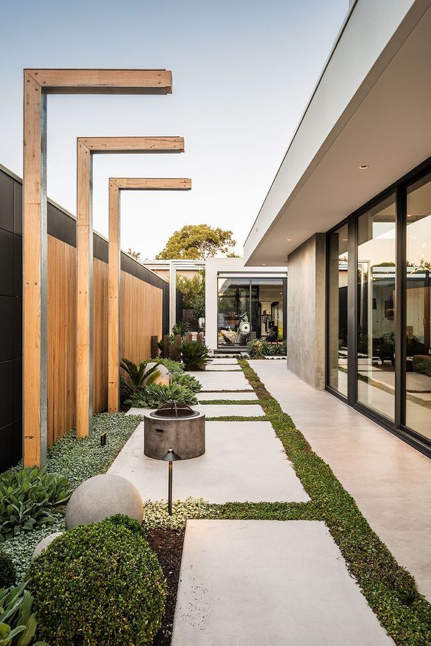 A landscaped courtyard walkway beside a contemporary flat-roofed residence. Large pale concrete stepping slabs are separated by narrow strips of low groundcover, with sculptural planters, clipped shrubs and succulents along a timber-and-dark-panel privacy fence. The home features broad black-framed floor-to-ceiling glazing, a light rendered facade and deep roof overhangs, while repeated timber-framed vertical elements add rhythm along the garden edge.