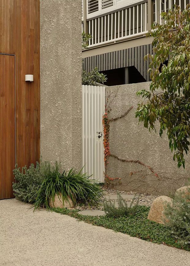 Exterior view of a contemporary residential entry with a tall vertical timber-clad garage or entry door, rough textured rendered concrete walls, pale metal slatted gate and balcony balustrade, and an integrated native-style garden. The restrained earthy palette and layered planting create a refined, natural streetscape.