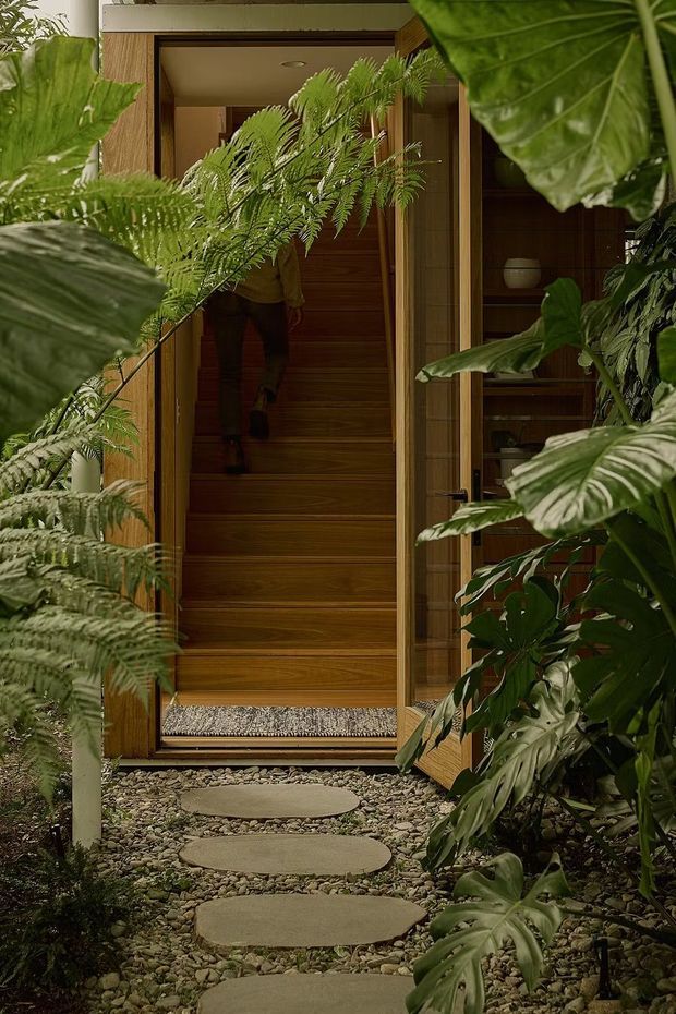 A lush, densely planted tropical garden path leads to an open timber-framed entry door. Large foliage and ferns surround irregular stepping stones set in a pebble ground surface. The entry reveals a warm timber stairway and built-in shelving beyond, creating a sheltered, biophilic threshold.