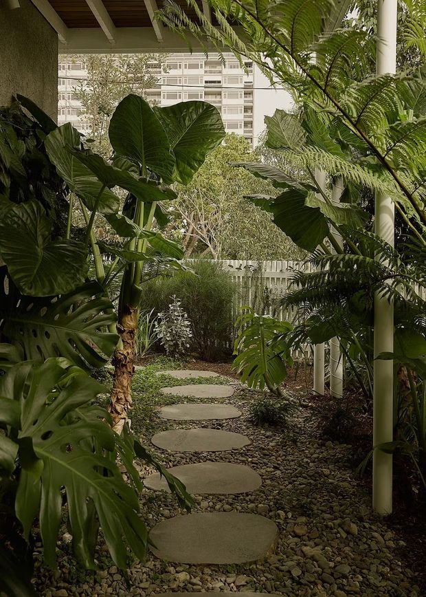 A lush, shaded tropical courtyard garden with large monstera, elephant ear, fern and palm-like foliage surrounding a winding path of irregular round concrete stepping stones set in a pebble-covered ground. White structural columns and a timber-lined roof edge frame the garden, with a multi-storey apartment building visible beyond the planting.