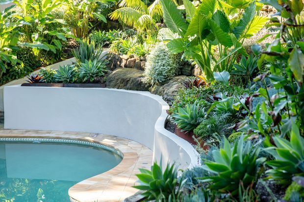 A lush tropical landscaped pool area with a curved turquoise swimming pool, rounded white rendered retaining walls, and pale stone or tiled paving. Dense palms, broad-leaf plants, succulents, and layered garden beds surround the pool, creating a private resort-like setting.