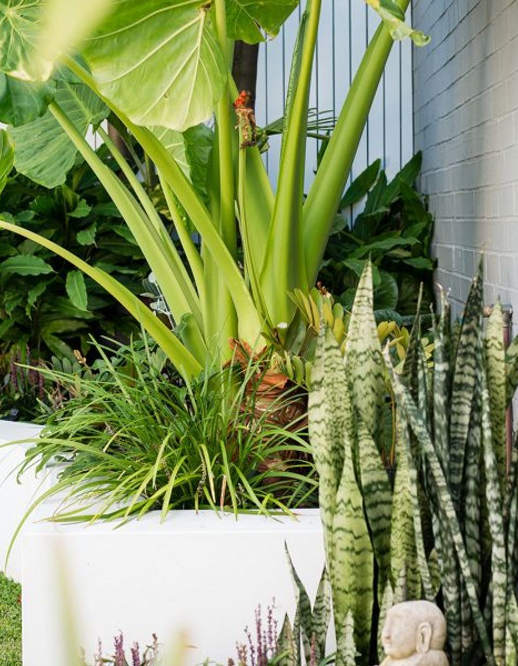 South Coogee Project