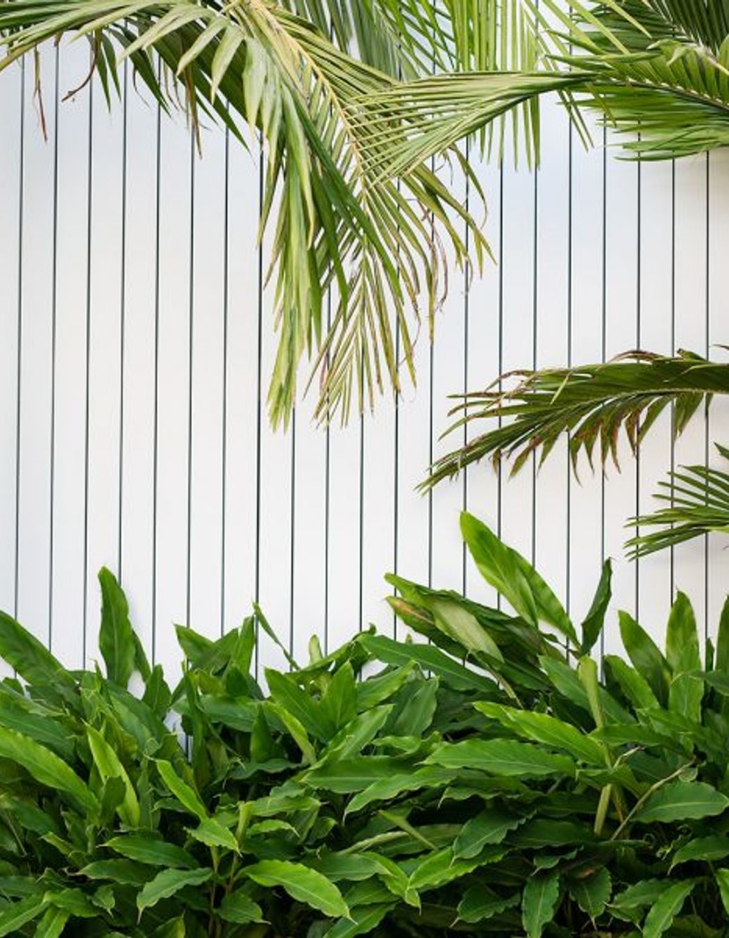 South Coogee Project