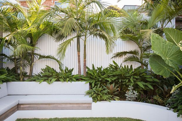 A lush tropical courtyard garden with a built-in L-shaped white upholstered bench, integrated raised planter beds, dense palm and broad-leaf planting, and a vertically panelled light-coloured boundary wall. The setting is bright, green, and private, with a refined contemporary outdoor seating arrangement.