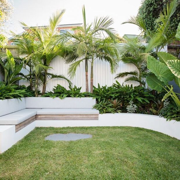 A landscaped courtyard garden with a curved white built-in bench wrapping around a small lawn. Timber accents form the bench seating, while dense tropical planting, palms, and broad-leaf foliage create a lush green backdrop in front of a white vertical-panel privacy fence.
