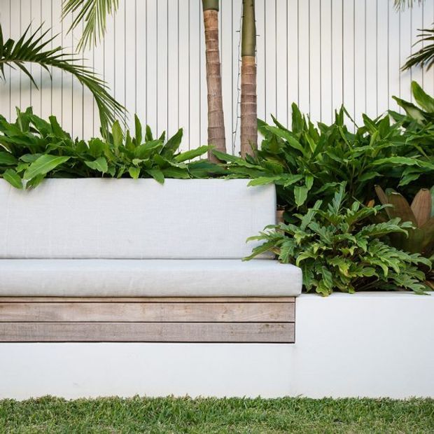 Close-up of a built-in outdoor bench or daybed with white upholstered cushions, a light weathered timber front panel, and white rendered or painted masonry. Dense tropical planting surrounds the seating, with a vertical white slatted wall and palm trunks behind it. The image presents a refined landscaped outdoor lounge setting.