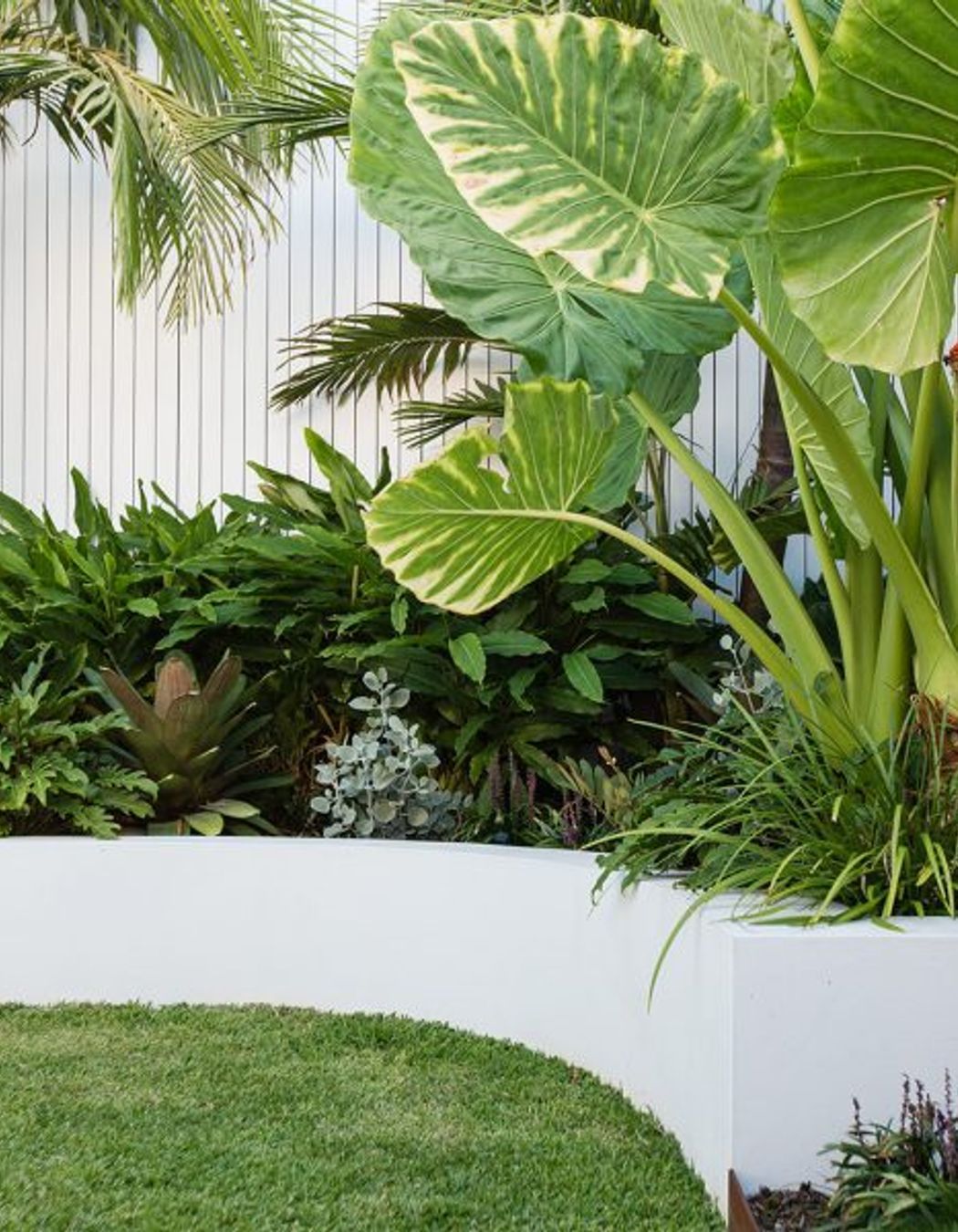 South Coogee Project