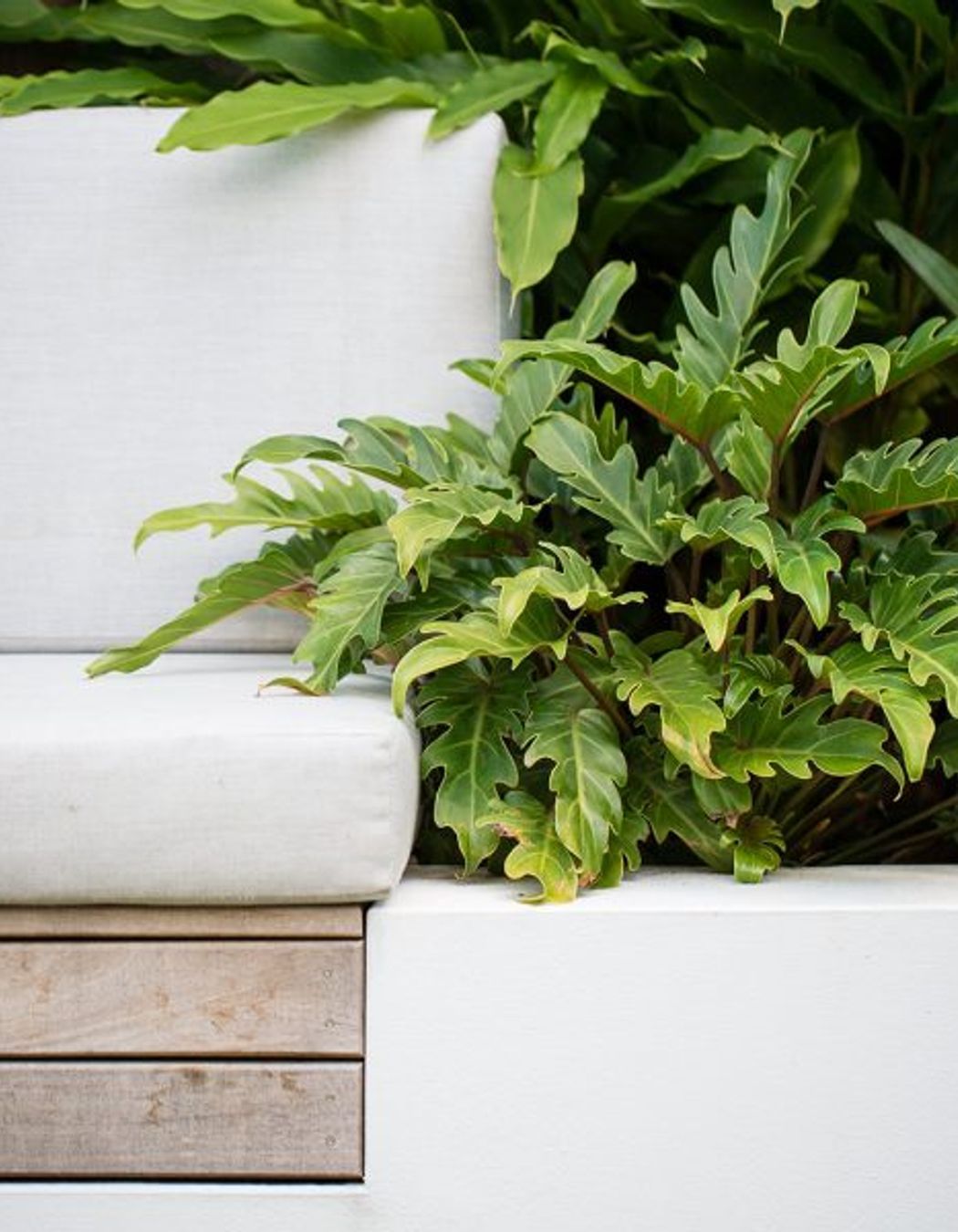 South Coogee Project