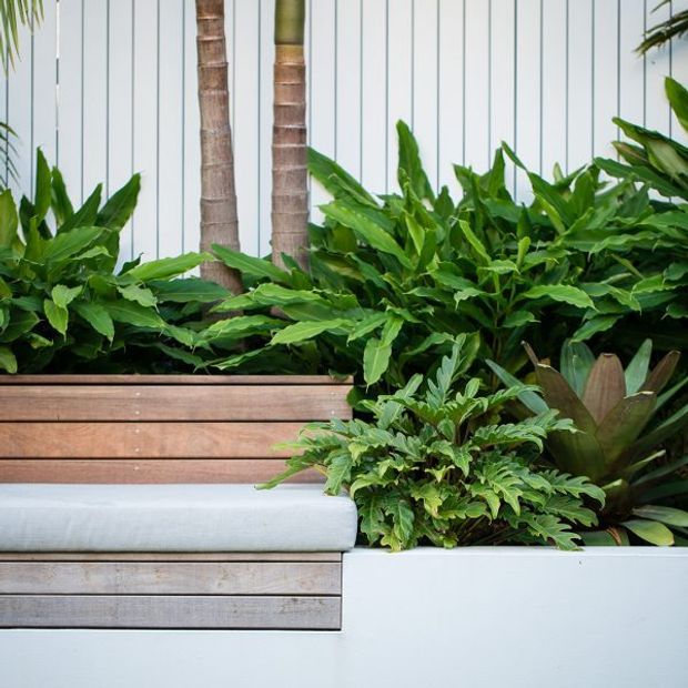 Close-up view of a built-in outdoor bench with horizontal timber cladding, a pale upholstered seat cushion, and abundant tropical planting in white raised planters. Vertical white wall panels and palm trunks form the backdrop.