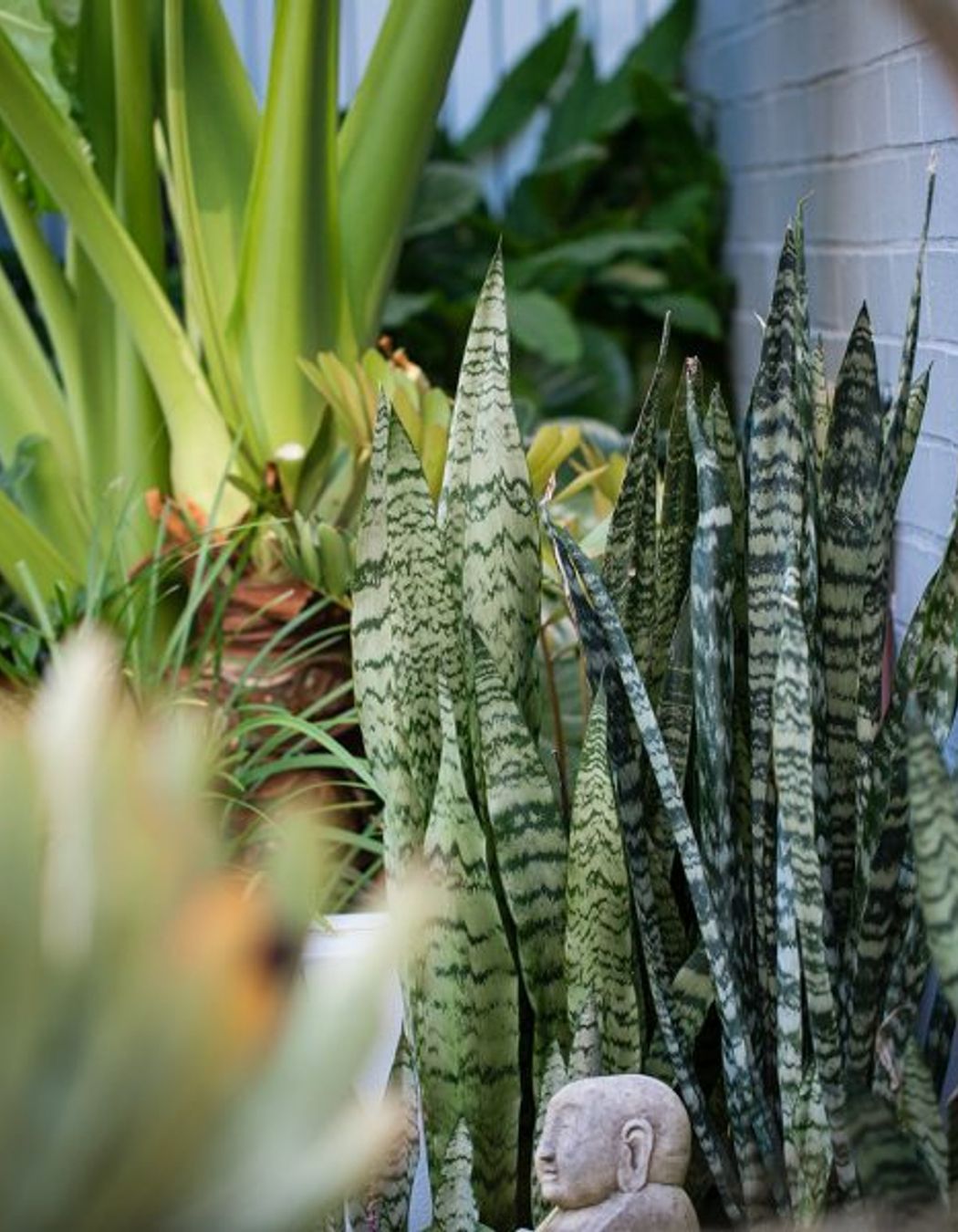 South Coogee Project