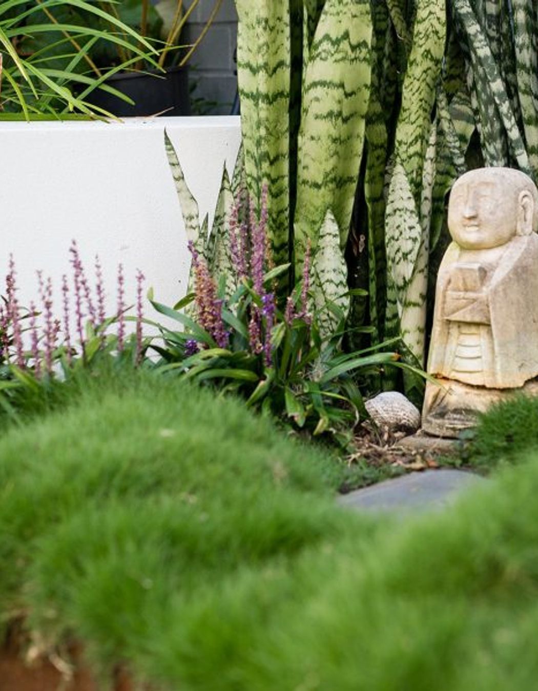 South Coogee Project