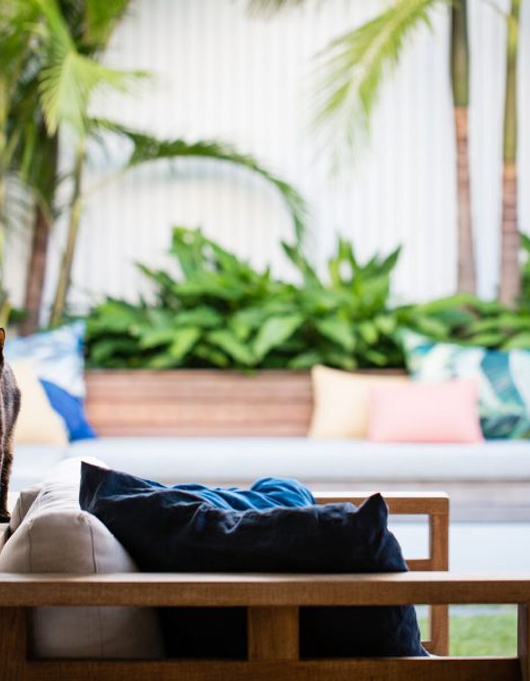 South Coogee Project