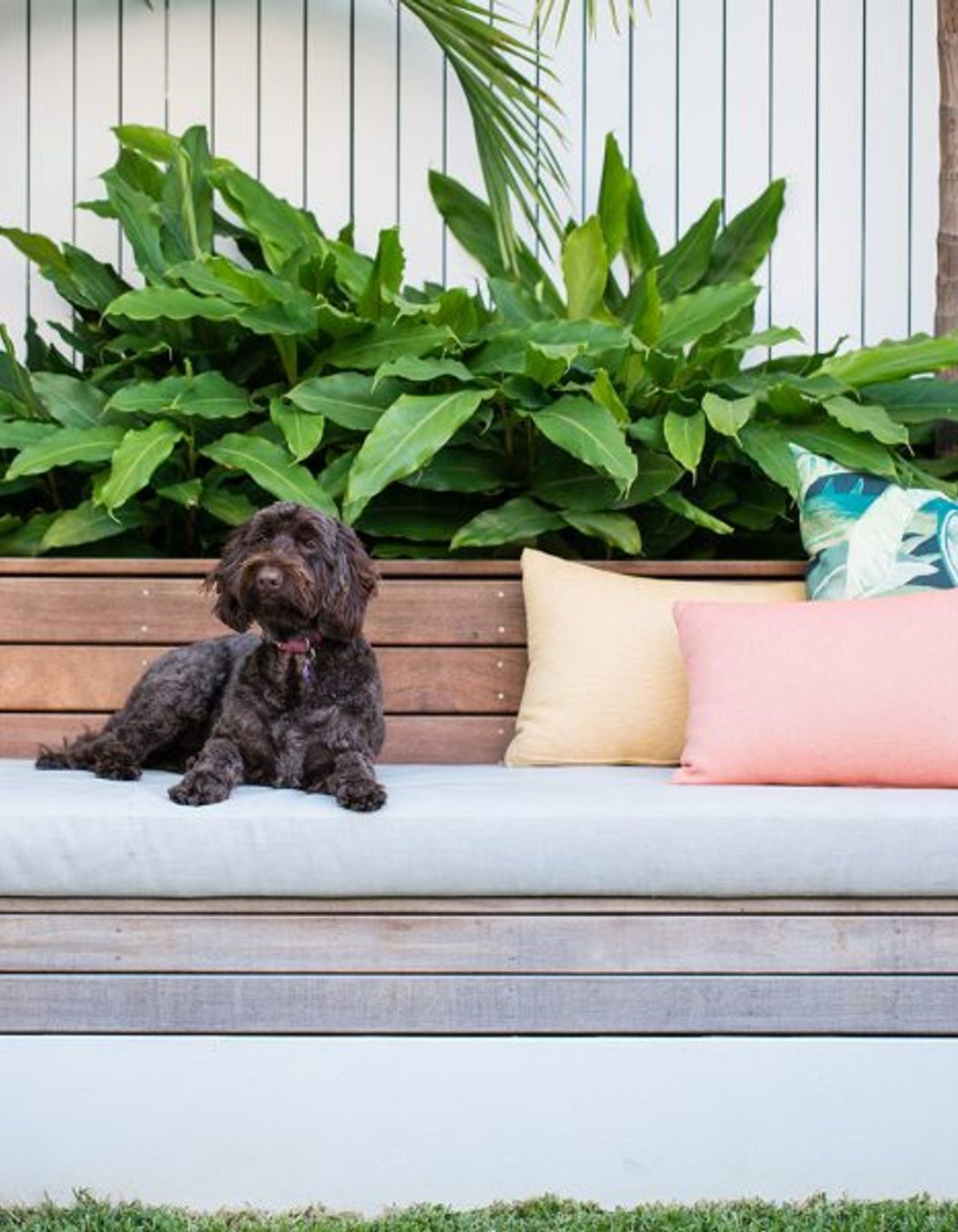 South Coogee Project