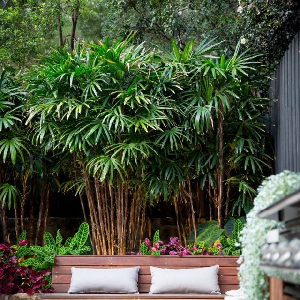 A lush landscaped outdoor courtyard or garden nook with dense tropical foliage, a built-in timber bench with pale cushions, colourful planting, and a dark corrugated wall edge at right. The scene feels private, green, and richly planted.