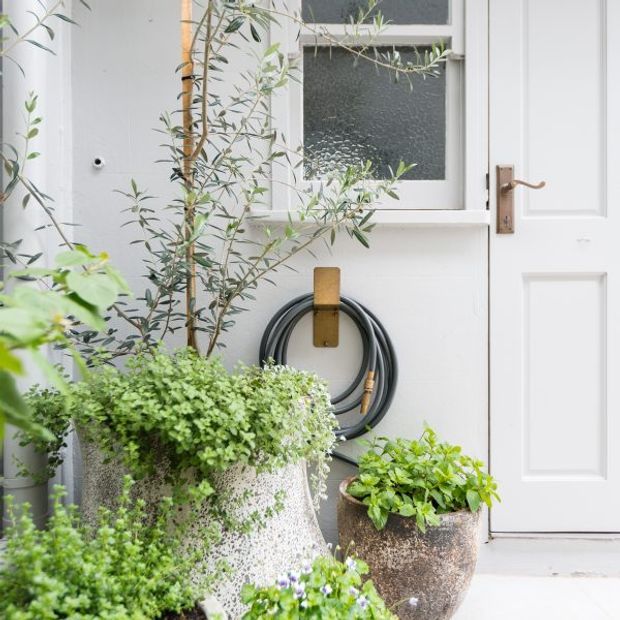 A close-up exterior view of a light-painted entry door and adjacent frosted-glass window, featuring a copper-toned lever handle, wall-mounted garden hose reel, and abundant potted greenery in textured planters. The scene has a fresh, inviting garden-entry character.