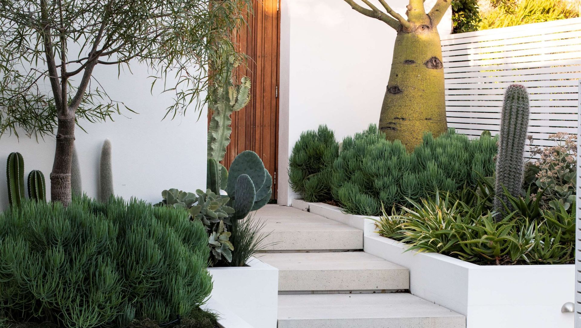 The Succulent Garden banner