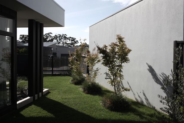 A narrow landscaped side courtyard between two modern residential volumes. The scene features a crisp white rendered wall, dark-framed floor-to-ceiling glazing and deep roof overhangs, with a manicured lawn, ornamental grasses, small trees and a dark vertical-slat boundary fence. Strong sunlight creates pronounced architectural shadows.
