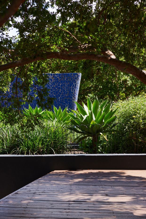 A lush landscaped garden viewed from a timber deck, with dense mature tree canopy, spiky agave-like plants, ornamental grasses, black raised garden edging, and a vivid blue mosaic-tiled sculptural wall or water feature in the background. Strong dappled sunlight creates a secluded, tropical garden atmosphere.