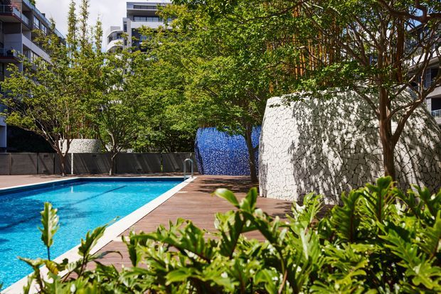 A landscaped urban pool courtyard with a bright blue swimming pool bordered by a timber deck, dense tropical planting, and sculptural white textured masonry walls. Contemporary apartment buildings are visible around the enclosed outdoor space.