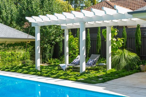 A bright landscaped poolside courtyard featuring a turquoise swimming pool in the foreground, a white painted timber pergola with repeated beams and round columns, and lounge chairs set among lush planting and clipped lawn. Dark vertical fencing and tiled roof forms are visible in the background.