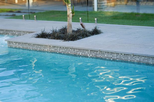 Close-up view of a landscaped swimming pool edge with turquoise water, a narrow mosaic-tiled waterline, and light grey paved coping. A raised planter containing a small tree and ornamental grasses is integrated into the surrounding pool terrace, with lawn and paving visible beyond.
