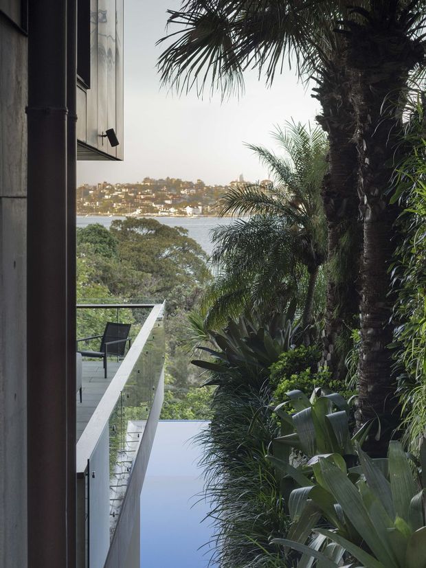 A narrow exterior view of a contemporary home set within lush tropical landscaping, looking along a glass-balustraded balcony toward a calm waterfront and a densely built hillside beyond. Dark vertical cladding and metal downpipes frame the left side, while palms, broad-leaf plants, and layered greenery dominate the right. A reflective blue pool or water feature is visible below the balcony.