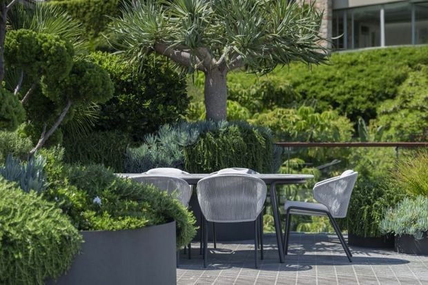 A landscaped outdoor terrace with a contemporary dining setting, featuring a round table and sculptural woven chairs surrounded by dense clipped greenery, large planters, and architectural trees. The terrace uses dark tiled paving and overlooks a lush planted garden, with part of a modern building visible in the background.