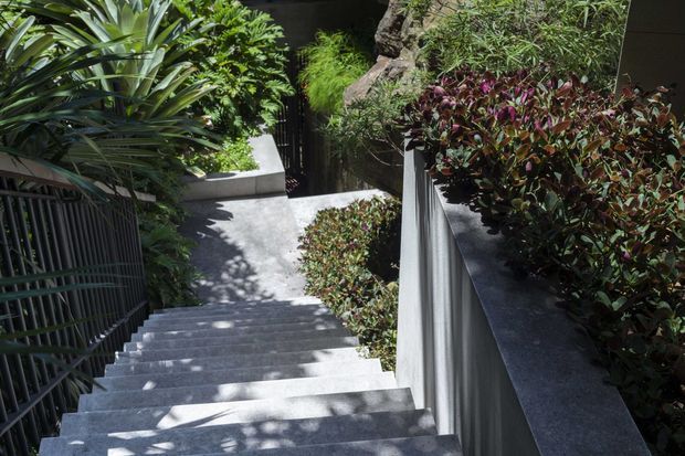 A landscaped outdoor stairway descends through dense tropical planting. The steps and retaining walls are finished in smooth grey concrete or stone, with dark metal railings and raised garden beds containing lush greenery and burgundy foliage.
